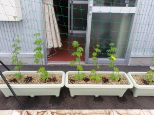 20140626_074455