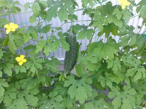 20140722_073017
