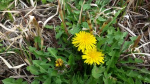 20150321_095841