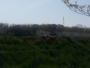 20150430_145909