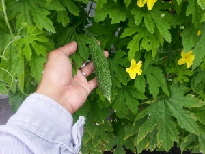 20150713_073927[1]