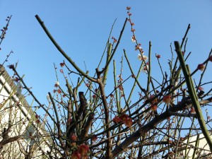 20160311_080252