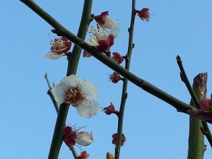 20160311_080315