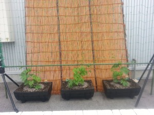 20160614_131424[1]