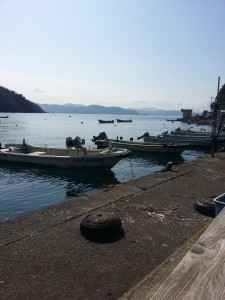 20170218_112334[1]