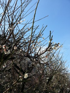 20170308_143809