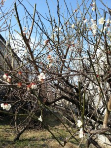 20170308_143833