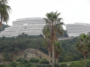 DSC05505