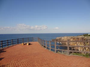 DSC05534