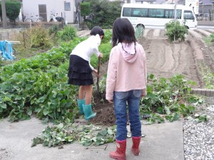 DSC06044