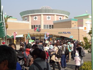 DSC06230